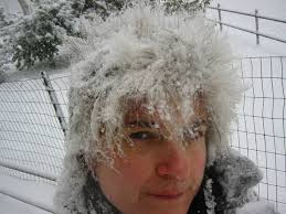 Red State/Blue State