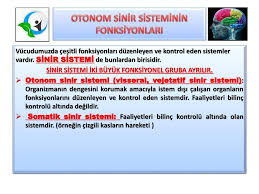 Hipotalamus, otonom sinir sistemi, endokrin sistem ve motivasyonla ilişkili nöral sistemle ilgilidir. Sinir Sistemi Ilaclari Otonom Sinir Sistemi Ilaclari Ppt Indir