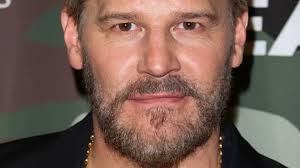 The Truth About David Boreanaz Revealed