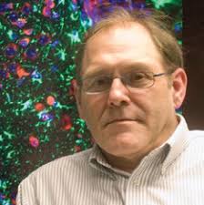 The Elmer Holmes Bobst Professorship of Pharmacology