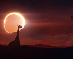 We have a massive amount of hd images that will make your computer or smartphone. Solar Eclipse Wallpapers Wallpaper Cave