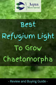 Best Led Refugium Light To Grow Chaetomorpha Aqua Movement Marine Fish Tanks Freshwater Aquarium Plants Fish Tank