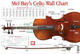 Amazon Com Cello Wall Chart 0796279113052 Martin