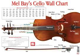 Amazon Com Cello Wall Chart 0796279113052 Martin
