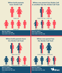 Raising The Awareness Bar On Sickle Cell Trait And Sickle Cell Disease Scdhec