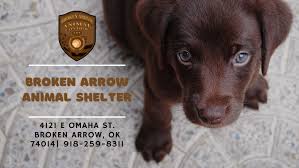 If you are adopting a dog or puppy over three months of age, pennsylvania law requires that you purchase a dog license at the time of adoption. Broken Arrow Animal Shelter Home Facebook
