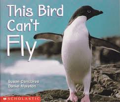 They need lightweight, streamlined, rigid structures for flight. This Bird Can T Fly By Susan Canizares