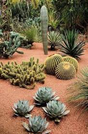 Make a prickly cactus garden. 52 Best Cactus Garden Ideas Cactus Garden Cactus Desert Garden