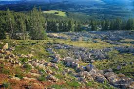 To some indigenous peoples of north america, the medicine wheel is a metaphor for a variety of spiritual concepts. Medicine Wheel Wyoming Roc Doc Travel