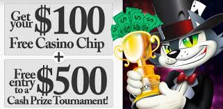 Cool Cat Casino No Deposit Bonus Codes