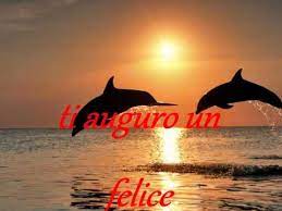 Un Augurio Speciale Per Te Youtube Buon Compleanno Auguri Di Buon Compleanno Auguri Di Compleanno Divertenti