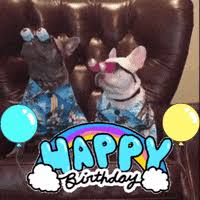 Designer happy birthday gifs to send to friends. Happy Birthday Funny Gifs Get The Best Gif On Giphy