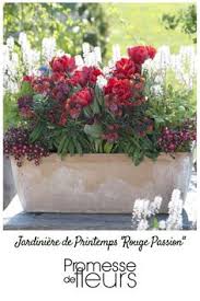 Des exemples de jardinières fleuries pour l'été © jardipartage. 55 Idees De Jardinieres Et Potees En 2021 Jardins Idees Jardin Deco Jardin