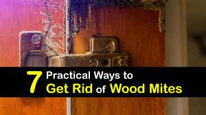 How to get a picture on wood. 7 Practical Ways To Get Rid Of Wood Mites