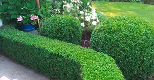 Fragen sie die landschaftsgärtner, ihre experten für garten und landschaft. Gartenbau Landschaftsbau Lauf Nurnberg Landschaftsgartner Michael Hofmann