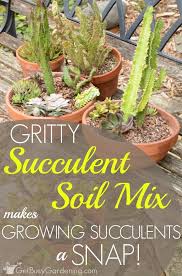Gritty Succulent Soil Mix Makes Growing Succulents A Snap Succulent Soil Growing Succulents Succulent Gardening