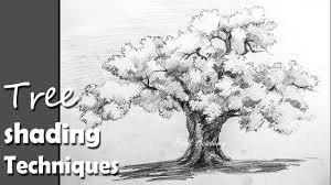 Instead i am thinking of what kind of 'texture' or pencil stroke i can use to represent that bundle of leaves. How To Draw Trees With Pencil Step By Step Learn How To Draw