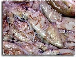 Check spelling or type a new query. Bagaimana Untuk Rebus Kanan Sotong