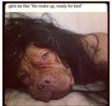 Hilarious Extensions No Filter Jokes Girls No Makeup Funny Pictures Bordeaux Dog Funny