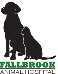 Every staff member is a pet owner and a lover of animals, and you can trust us to take care of your pet just as we care for our own. Fallbrook Animal Hospital Veterinarian In Fallbrook Ca Us