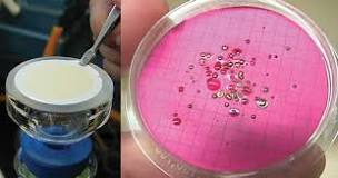 Image result