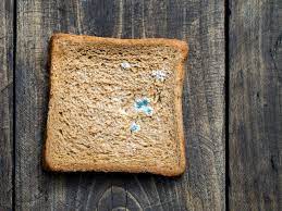 How Long Does Bread Last