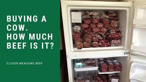 Buying A Cow How Much Beef Is It Video Clover Meadows Beef