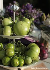 Image result for Grona setigera