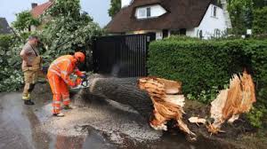 Het was in het binnenland bloedheet met 30 tot 34 graden en daarnaast voelde het ook erg benauwd aan. Noodweer Blik Op Nieuws