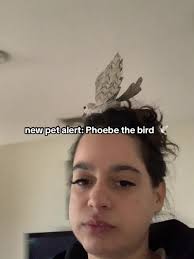 Shay Thompson Bird Video