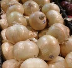 Tips and inspiration to get growing. Vidalia Onion Is A Trademarked Name Widerman Malek Pl