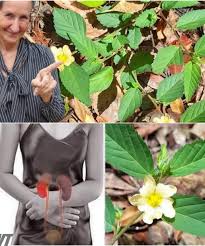 The Hidden Power of Stubborn Grass: The Unpretentious Wonder of Nature …  💬👀