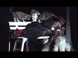 So as the kids watch them they will know their story too! Comedy Pet Theater Gregory Popovich Youtube