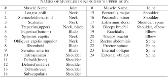 The muscles of your body which you can work out can broadly be divided into two categories in the upper body muscles you have shoulder (deltoids and traps), back (lats, middle back and lower back). Table Iii From Human Mimetic Musculoskeletal Humanoid Kengoro Toward Real World Physically Interactive Actions Semantic Scholar