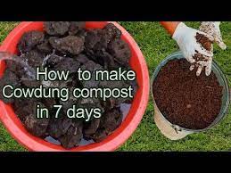 How To Make Compost From Cow Dung How To Decompose Cow Dung Best Fertilizer Organic Fertilizer Youtube How To Make Compost Compost Soil Compost