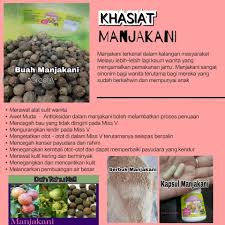 Buah ini menjadi populer karena beragam manfaatnya seperti khasiat dan manfaat buah manjakani. Jamu Manjakani 100 Asli Posts Facebook