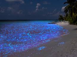 Luego de la breve introducción, podemos resumir que la ubicación de maldivas es en la parte sur de asia en el océano índico. Vaadhoo La Playa Brillante De Las Maldivas El Blog De Aerobus
