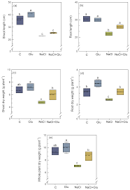 Image result for Suaeda sp. B
