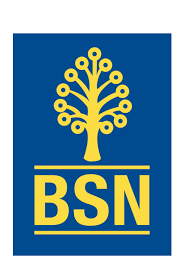 The bic codes below belong to bank simpanan nasional berhad bank and/or any of its branches across all countries and cities in the world. Bank Simpanan Nasional Bsn Logo Download Logo Icon Png Svg