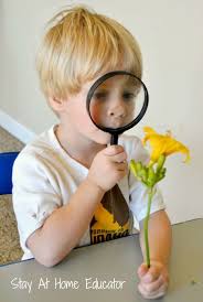 Three Preschool Sense Of Sight Activities Stay At Home Educator Senses Preschool Sense Of Sight Kids Senses