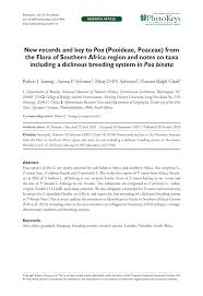 Image result for Poa binata