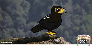 Grindelwald is the perfect getaway at any time of the year. Birdorable Blog Page 3 Bird News New Species More