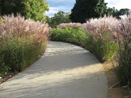 Andrew Wilson And Gavin Mcwilliam Of Wilson Mcwilliam Studio The Savill Rose Garden Windsor Great Park Surrey Engl Landscape Design Garden Design Landscape