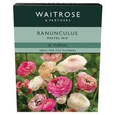 Blumensträuße überall hin liefern, mit persönlicher nachricht. Waitrose Garden Ranunculus Tubers Pastel Mix Waitrose Partners