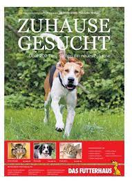 Für die in rumänien befindlichen hunde suchen wir neben adoptanten auch immer pflegestellen, die den armen seelchen beim start in ihr neues leben helfen. Zuhause Gesucht