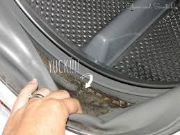 This type of washer requires a little tlc between loads to keep odors and mold away. How To Clean Your Washing Machine Clean And Scentsible