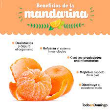 Las Propiedades De La Mandarina La Hacen Ser Una Golosina Natural Para Todo Publico Animate Fruit Food Cantaloupe