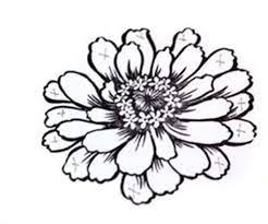 Image Result For Zinnia Flower Drawing Simple Flower Tattoo Zinnia Flowers Zinnias