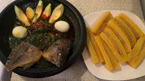 Image result for Afrosolen bainesii