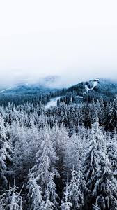 Sep 14, 2018 · set this as your winter iphone wallpaper to truly remind you of the season. Iphone Winter Trees Wallpapers Wallpaper Cave